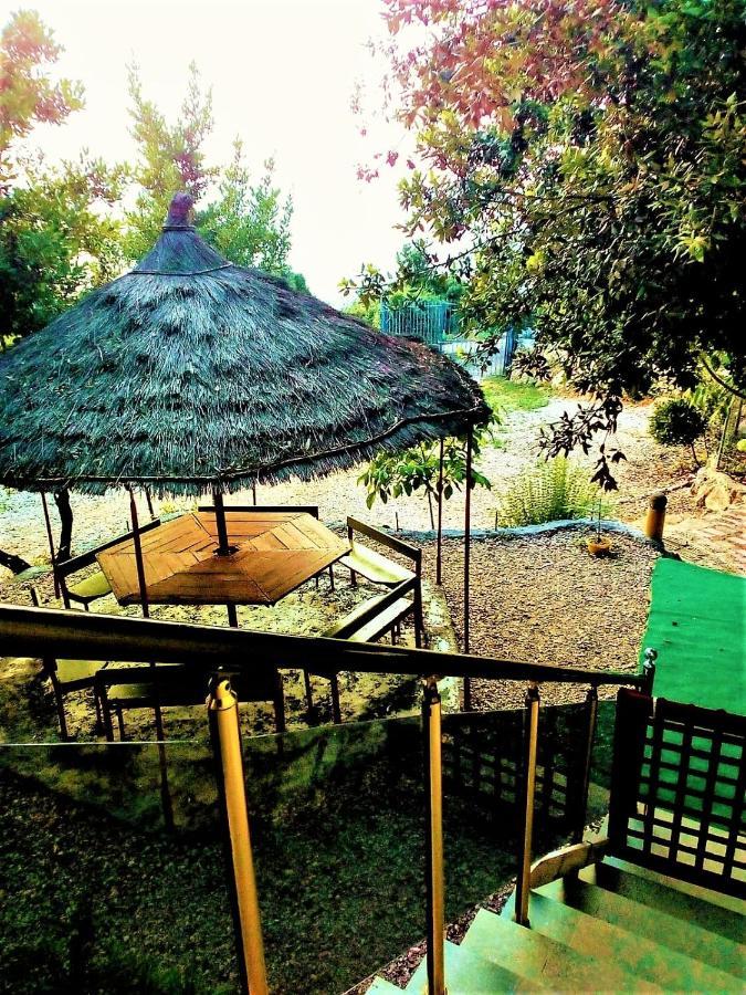 Ramo'S Green Beachside Retreat - Cozy 2 Bedroom Home Вльора Екстер'єр фото